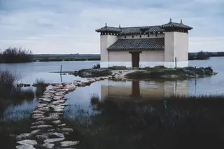 Lagunas de Villafáfila. Archivo