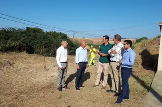 Sin título 16