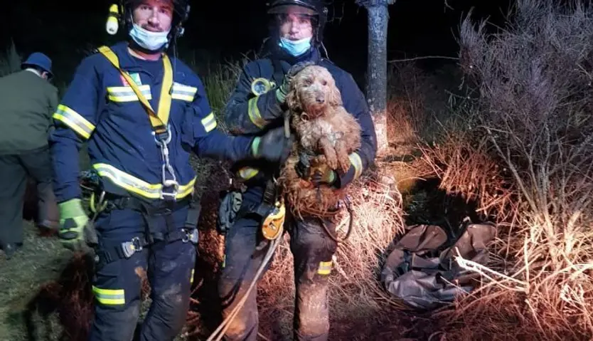 Imagen del rescate
