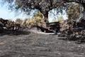 Maquinaria calcinada en el incendio de Fermoselle