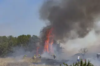Incendio en Morales del Vino . ICAL (7)