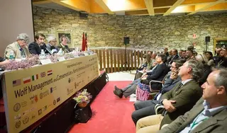 Más de 250 participantes de once países debaten sobre la gestión y conservación del lobo
