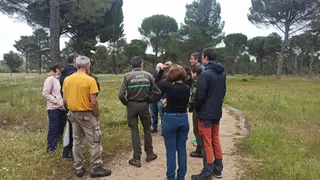 Auditoría PEFC