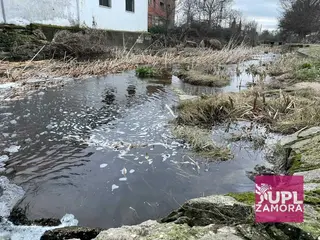 Arroyo de Belén en Almeida de Sayago