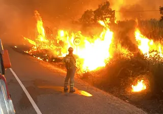 Incendio en la comarca de Aliste a última hora de este miércoles