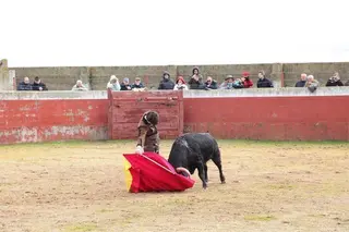 Fiesta campera en Buenamadre