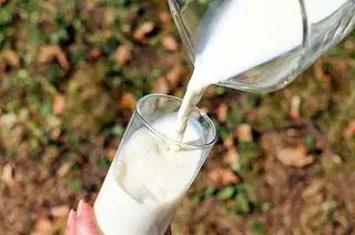 Vaso leche etiquetado facua