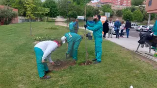 Alumnos participantes del programa Tándem
