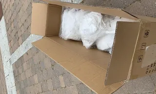 95536337 3890502440991271 8044073536060391424 n