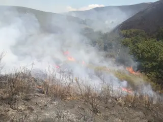 Pequeños focos activos este domingo en el incendio de Hermisende | @AT_Brif