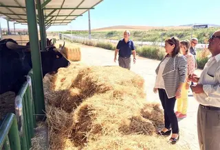 Martín Pozo visita las instalaciones de la Finca de Madridanos y del Vivero Provincial