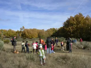 Jornadas de educación ambiental. Archivo