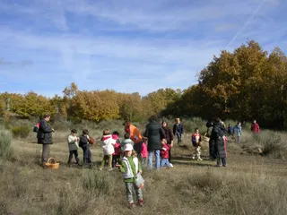 Jornadas de educación ambiental. Archivo