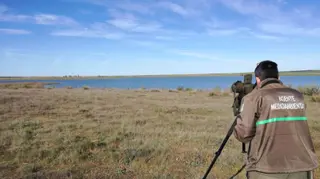 Día Mundial de las Aves Migratorias