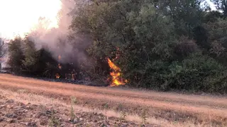 Incendio en Carbajales de Alba