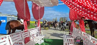 Morales del Vino se prepara para su ‘Camino Flamenco’: consulta las actividades de la jornada | v