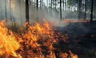 Un incendio. Archivo