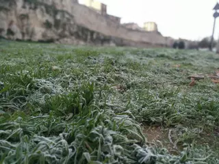 Helada, frío en Zamora. Archivo