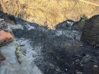 Las heridas del fuego en Losacio (32)