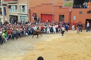 Salida toro enmaromado. Archivo