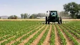 Fuerte inyección económica hasta el 2020 para fortalecer el sector agrario