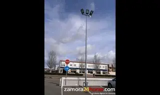 Retiran un chopo seco en Benavente
