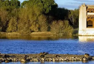 UPA-COAG presenta numerosas alegaciones a la Red Natura 2000
