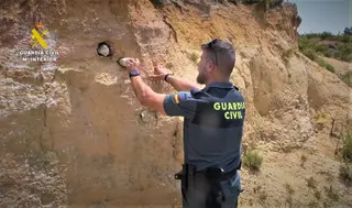 Agente Destapando Los Nidos