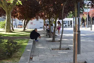 Zamora se enfrenta a temperaturas anómalas. Archivo