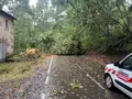 Una carretera afectada tras el paso de un temporal. Archivo