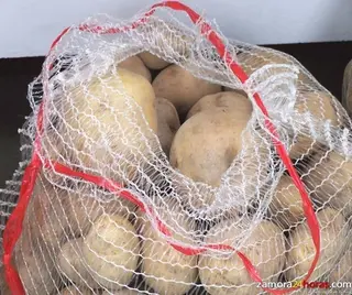 Agricultura y Ganadería sugiere a los patateros que cultiven “en función de la salida comercial” del producto