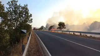 Imagen del operativo ATBRIF