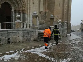 IMG 0659 (Copy)