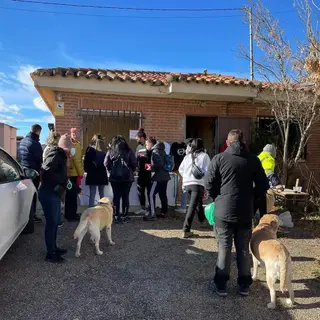 Marcha solidaria Animales Abandonados Toro