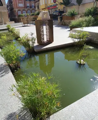 Estanque Plaza San Francisco, Benavente