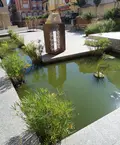 Estanque Plaza San Francisco, Benavente