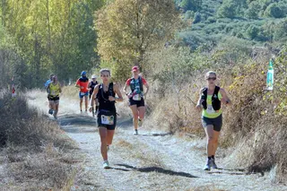Trail Viñas | Picasa