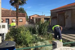 Pontejos jardines