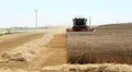 Un agricultor cosechando. ICAL. Archivo
