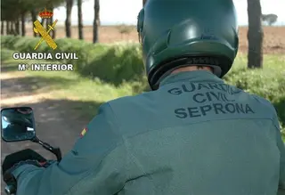 La Junta retira los cadáveres de 152 cabras de una explotación de Mayalde