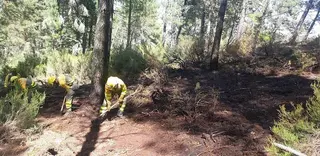Incendio codesal (1)