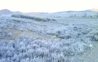 Heladas en los campos