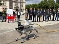 Digitalización para prevenir incendios