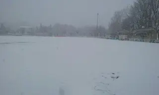 Nieve Veguellina