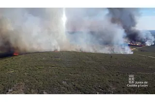 Incendio abejera