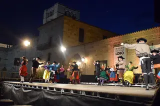DSC 0513