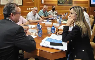 Reunión con las Opas