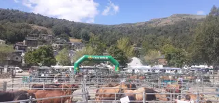 Concurso Morfológico Nacional de Porto de Sanabria