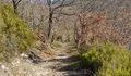 Sendero en Zamora.ARCHIVO