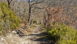 Sendero en Zamora.ARCHIVO